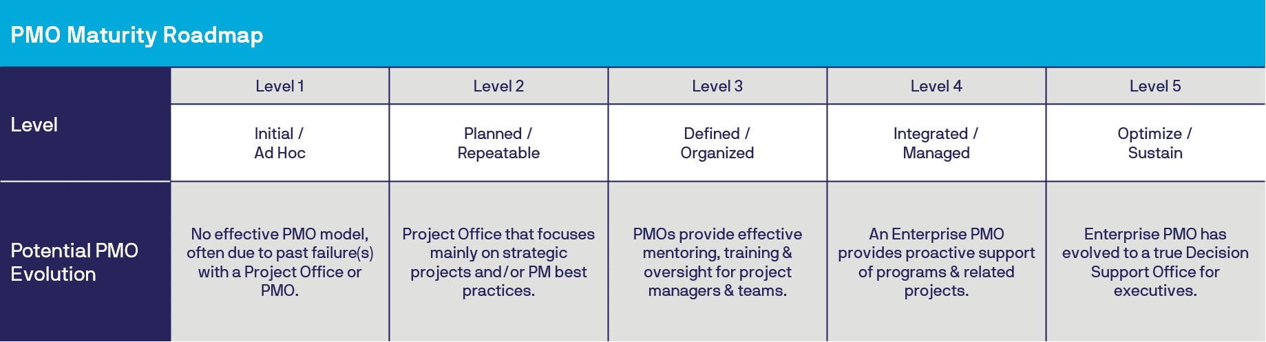 Moving Your Pmo Up The Maturity Ladder Mi Gso Pcubed